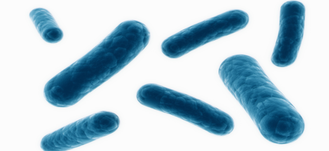 Caractérisation plus précise du microbiome avec les pan-génomes d'espèces métagénomiques (MSP)