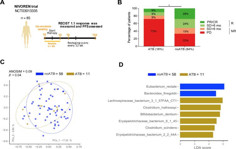 Gut bacteria composition drives primary resistance to cancer immunotherapy in renal cell carcinoma Patients