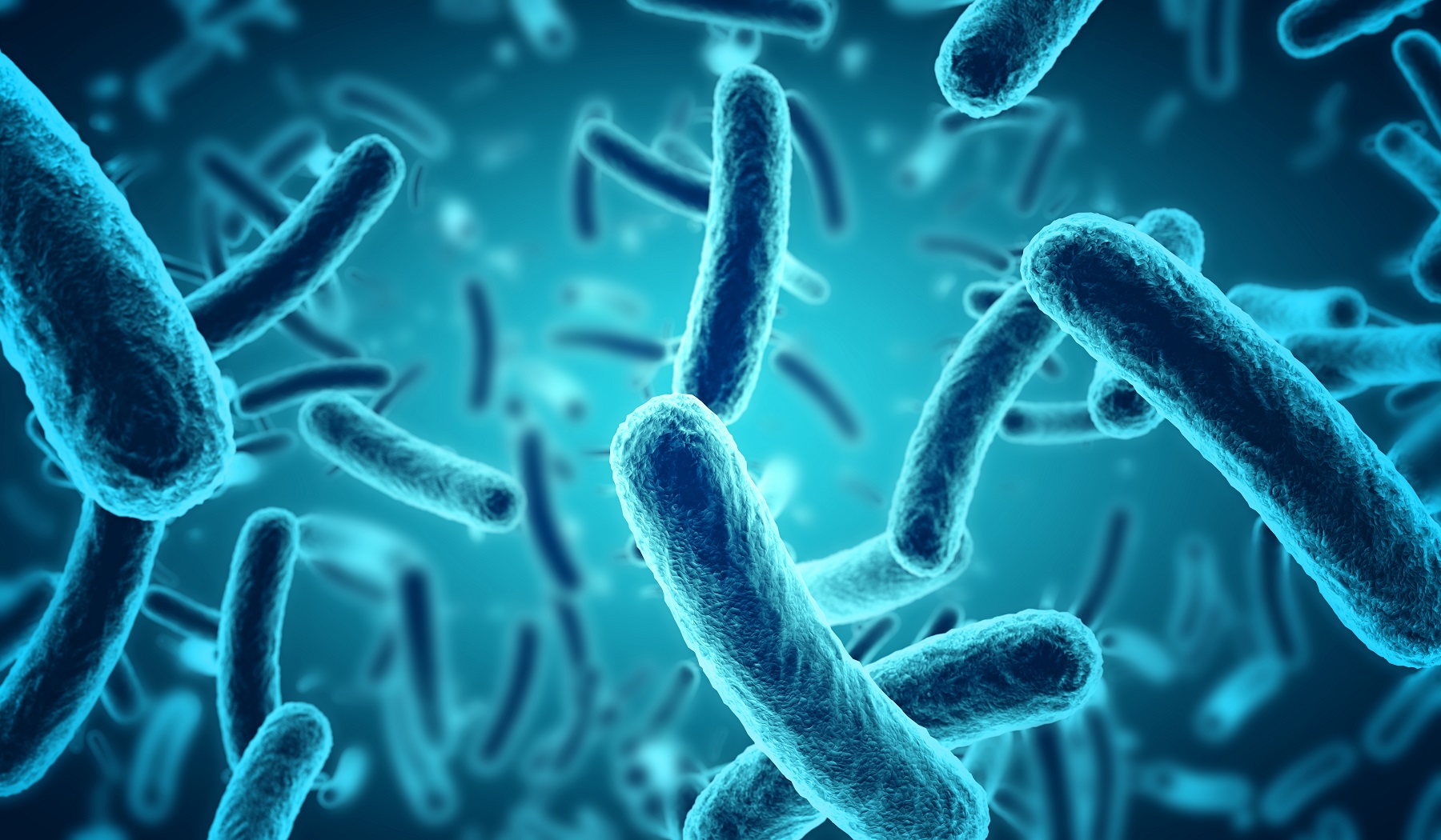 INRAE - Sanofi : collaboration pour mieux comprendre le mécanisme d'action probiotique du Bacillus clausii
