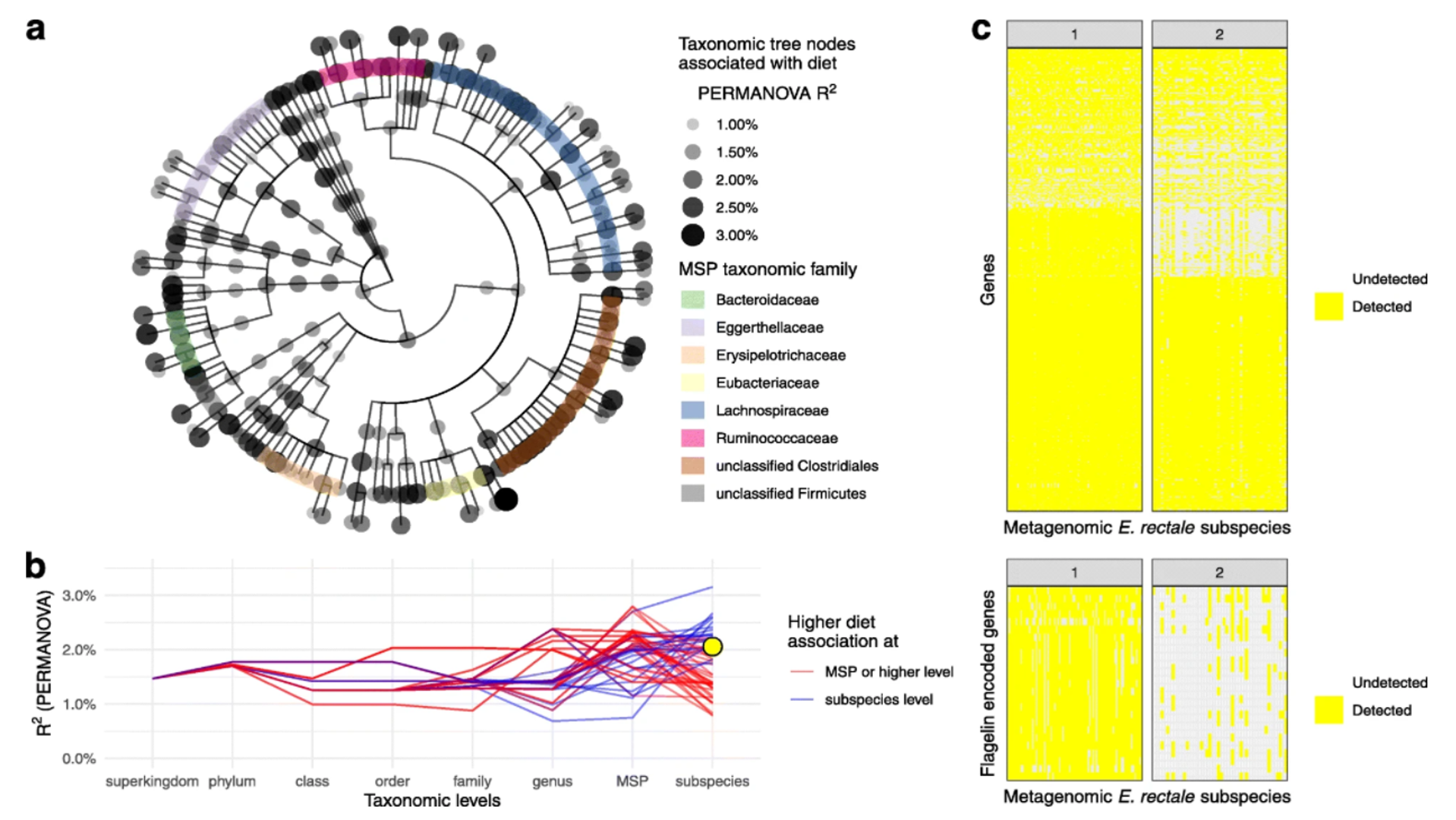 Diet and gut microbiome interactions of relevance for symptoms in irritable bowel syndrome